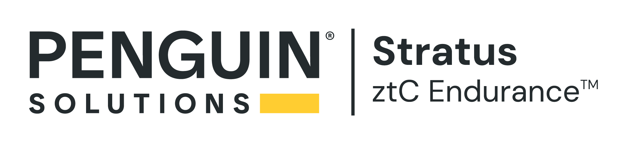 ztC Endurance 로고
